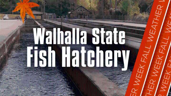 Fall Weather Week: Walhalla State Fish Hatchery