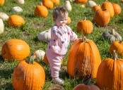 PHOTOS: Pumpkins, hayrides, corn mazes and apples mark fall festivities at local farms