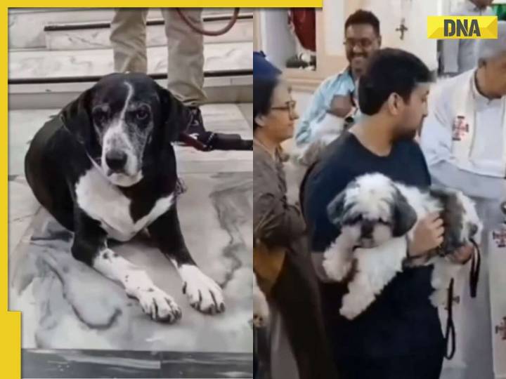 Ratan Tata’s beloved dog steals the show at annual ‘Aashirwad Ceremony’ in Mumba
