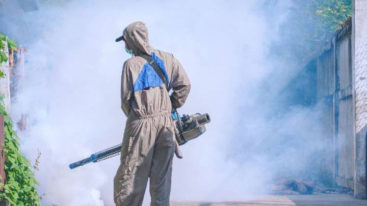 Dengue: detectan al mosquito transmisor en ocho barrios de Santa Fe