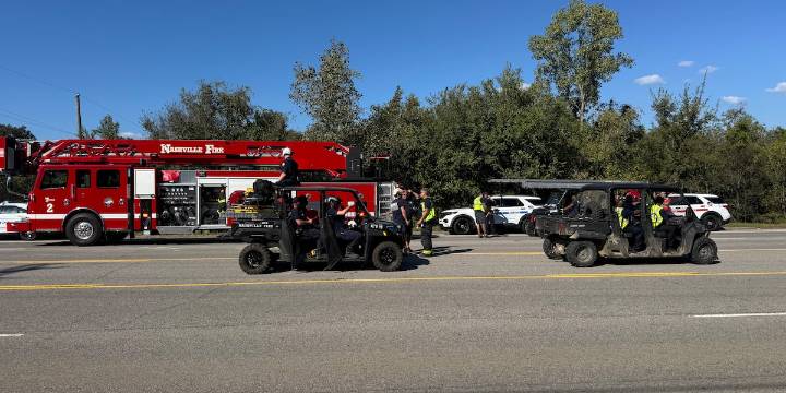 Skydiver stuck in tree, instructor missing after jumping out of plane, officials say