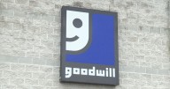 In the 608: Goodwill offers budget-friendly Halloween costume ideas for 2025