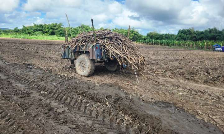 Fotos: "Meten caña" para seguir adelante
