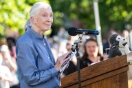 Jane Goodall, conservationist renowned for environmental advocacy, has died