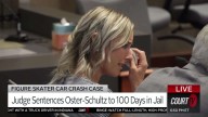 Figure Skater Car Crash Case: Megan Oster-Schultz Pleads Guilty, Sentenced