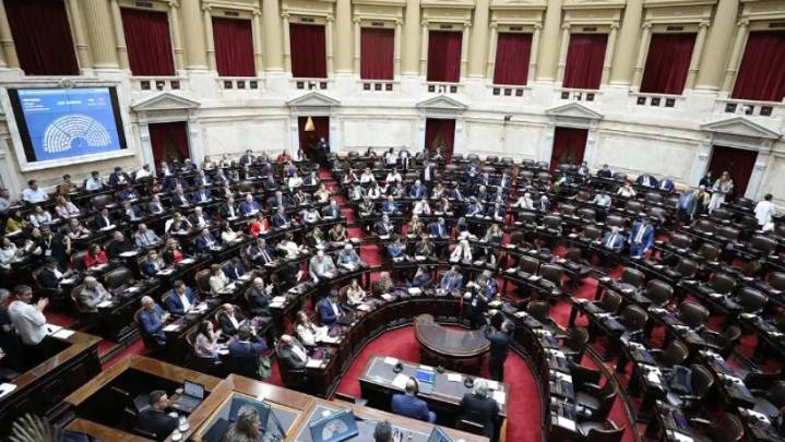 Diputados declaró la nulidad del decreto que suspendía la Ley de Emergencia en Discapacidad