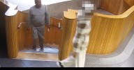 Moment sex offender asylum seeker fugitive arrested after 3 days at large