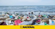 Lo estás haciendo mal: el error que puedes cometer al reciclar tus envases