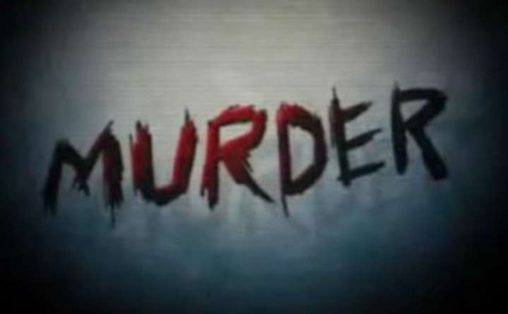 Goon murdered in Nagpur’s Nara, cops hunt accused