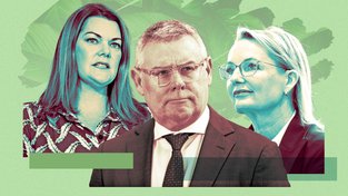 Australia 
                                                Comments
                                              MPs warn Watt against gutting environment laws