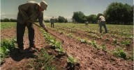 Prorrogan hasta 2026 la ley que frena los desalojos de familias rurales en Salta