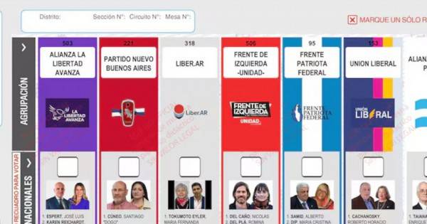 El Gobierno apeló el fallo por la reimpresión de boletas en Buenos Aires y ahora definirá la Cámara Nacional Electoral