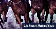Race-by-race preview and tips for Moruya on Friday