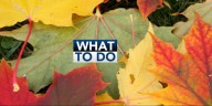 What To Do: Sunday October 19
