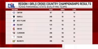Area athletes and teams advance to UIL state cross country meet