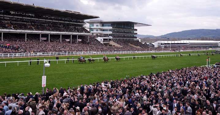 Cheltenham Festival to look into 'concept' of Wednesday to Saturday schedule switch