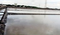 With rain spells starting early salt production ends in Thoothukudi