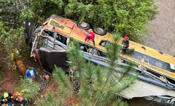 Tragedia de Misiones: el chofer del auto estaba alcoholizado