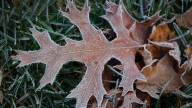 When will cold air move in? See average frost dates and more for MS