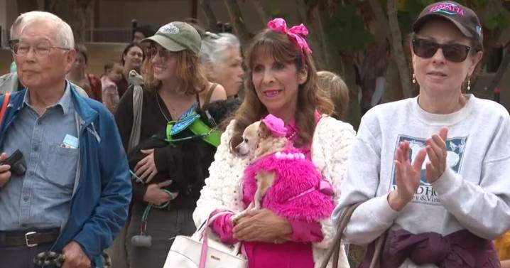Woods Humane Society hosts annual Wiggle Waggle Fall Festival