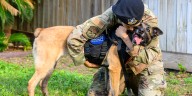 VIDEO: Emotional moment a retired Air Force K-9 reunites with her handler forever