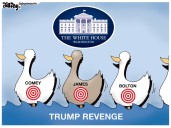 Cartoonist’s take: ‘Trump’s revenge’