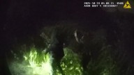 VIDEO: Deputies say 2 fled during K9 response to Riverview prowler call