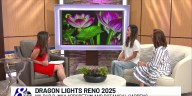 Dragon Lights Reno