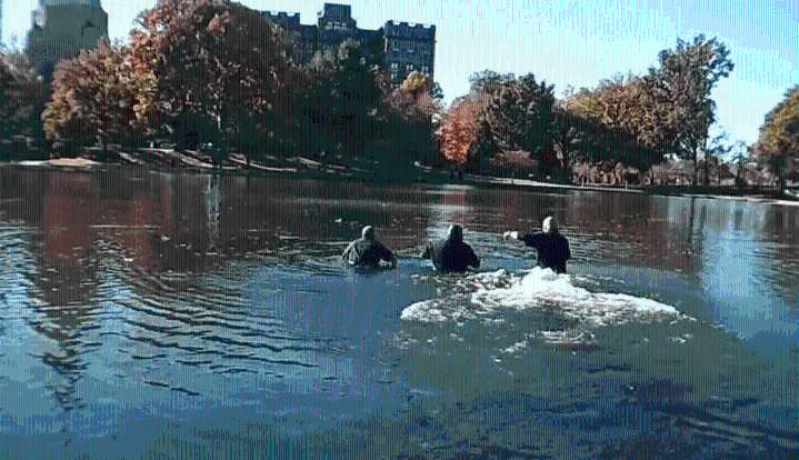 Video: Officers rescue man from drowning in Wade Park Lagoon