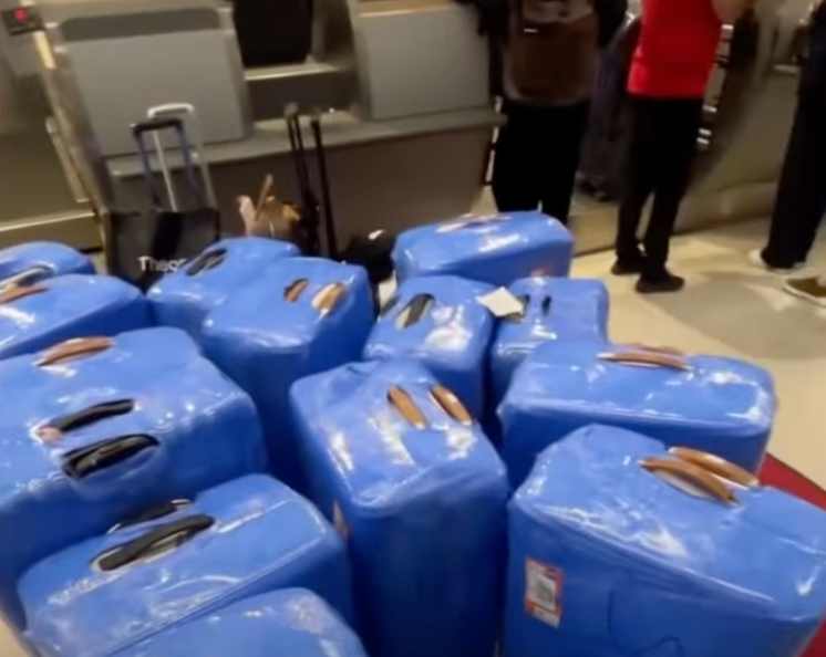 Miss Venezuela causa revuelo al viajar al Miss Universo con 29 maletas