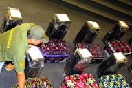 Casación confirmó las condenas por el hallazgo de droga en 12 valijas ocultas en la embajada de Rusia