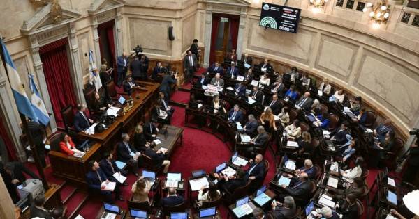 El Senado rechazó los vetos presidenciales en Garrahan y universidades