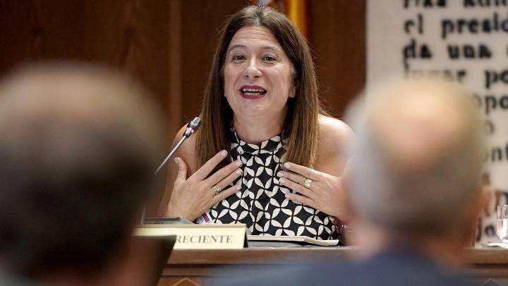 El juez acumuló las denuncias contra Leire Díez por presiones a la UCO y extorsión a fiscales por responder al mismo "plan"
