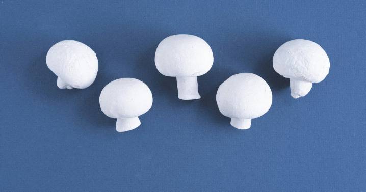 Here's Why Button Mushrooms Are White