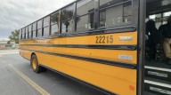 Pinellas County bus driver warns about dangers of illegally passing stopped school buses