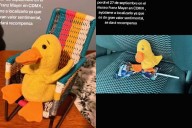 Pato de peluche perdido en el Museo Franz Mayer desata búsqueda viral