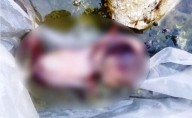 Encuentran un feto en basurero de Tucupita