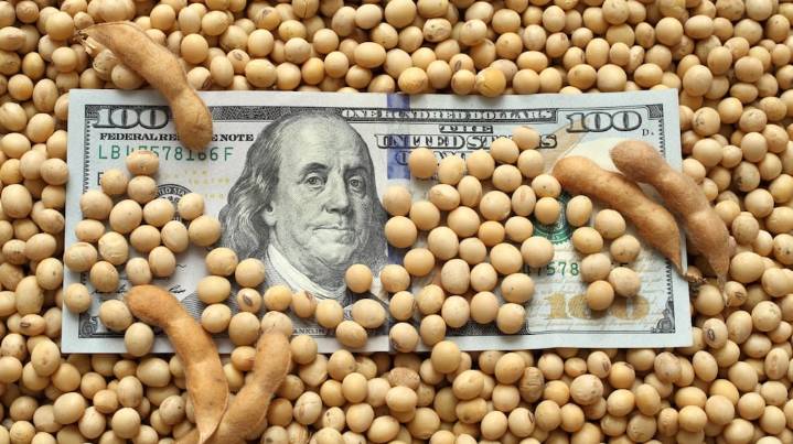 La soja se mantuvo en los $480 mil por tonelada en Rosario pese a la fuerte baja del dólar