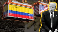 Exportaciones de Colombia a Estados Unidos cayeron 13,7 % en agosto: ¿Comienza a sentirse el golpe del arancel del 10 %?