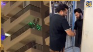 Viral Video: Noida Bachelor's One-String ‘Green Lights Wala Flat’ Diwali Decor Breaks Internet