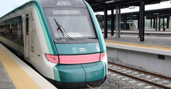 Cenotes en peligro: Tribunal Internacional ordena la suspensión del Tren Maya por ecocidio