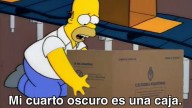 "Maldita seas": los mejores memes de las elecciones por la utilización de la Boleta Única de Papel