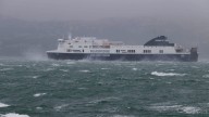 Man killed by tree branch, pedestrian blown into road as storm buffets Wellington, New Zealand