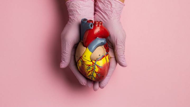 “Un susto en el corazón”: así es como este órgano responde a las emociones y cómo puedes prote...