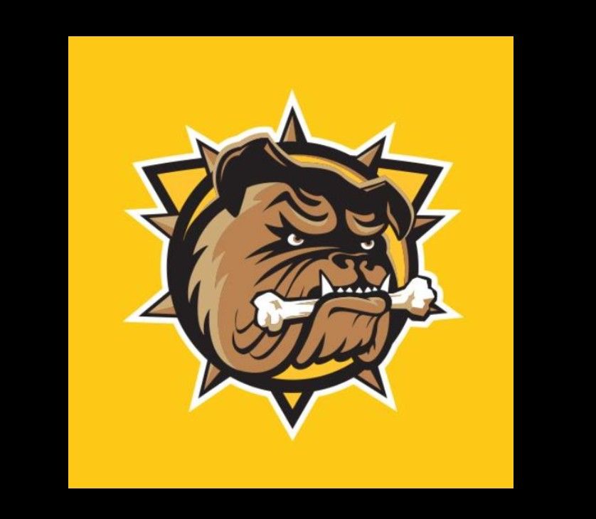 Brantford Bulldogs win eighth straight game