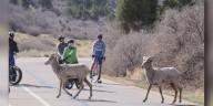 Last ‘Motorless Morning’ of 2025 at Garden of the Gods Sunday!