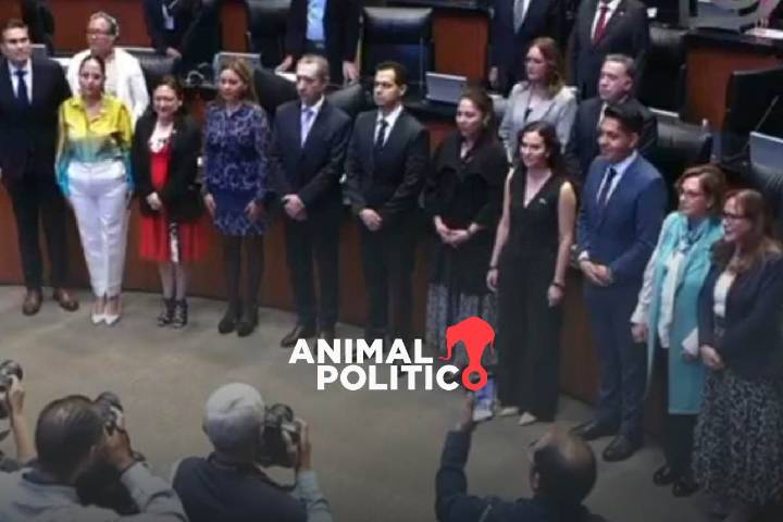Senado ratifica a integrantes del pleno de la Comisión Nacional Antimonopolio