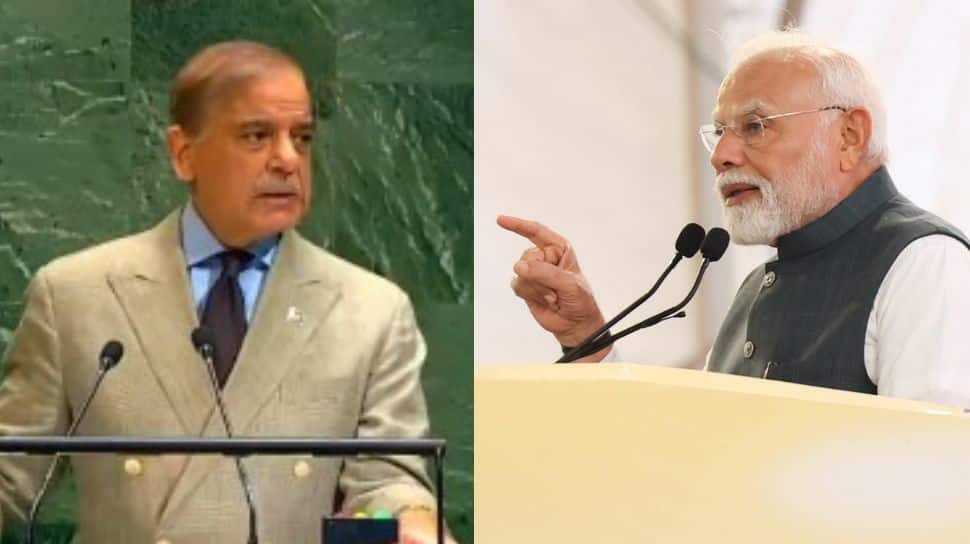 India Exposes Pakistan: Slams Islamabad For Blaming Neighbors, Harboring Terrorists