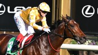 ‘Upset’ trainers Gai Waterhouse and Adrian Bott weigh $2m play for axed Melbourne Cup favourite Sir Delius