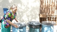 Panorama Epidemiológico de Dengue en México